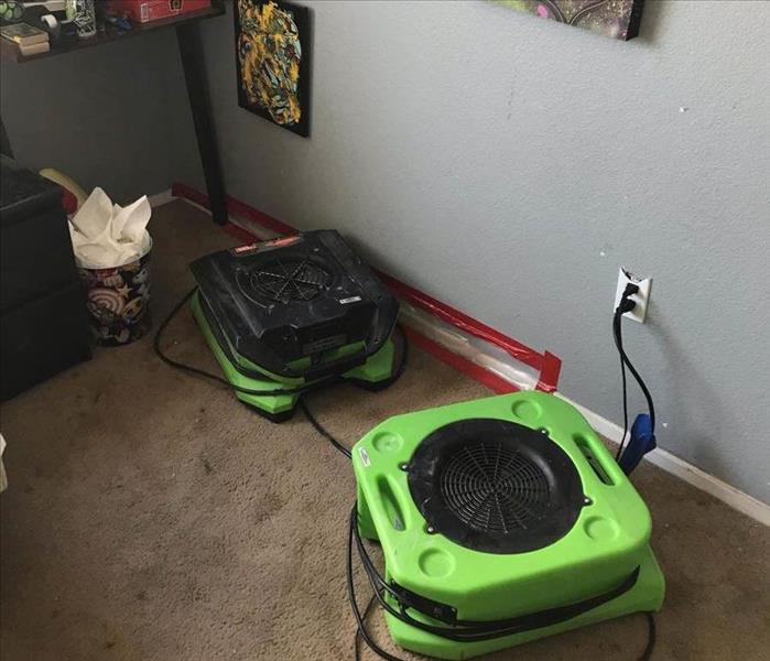 Green air movers on carpet inside a home. 