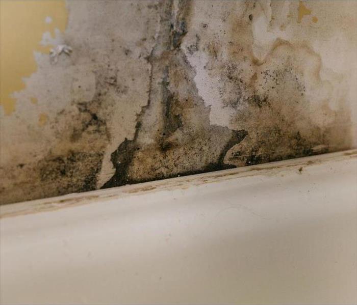 Mold growth on wall due to humidity