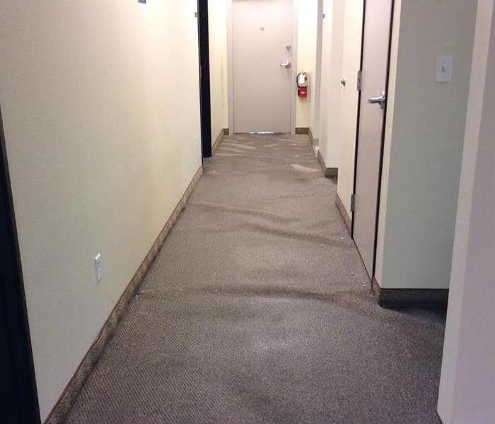 wet carpet in commercial building