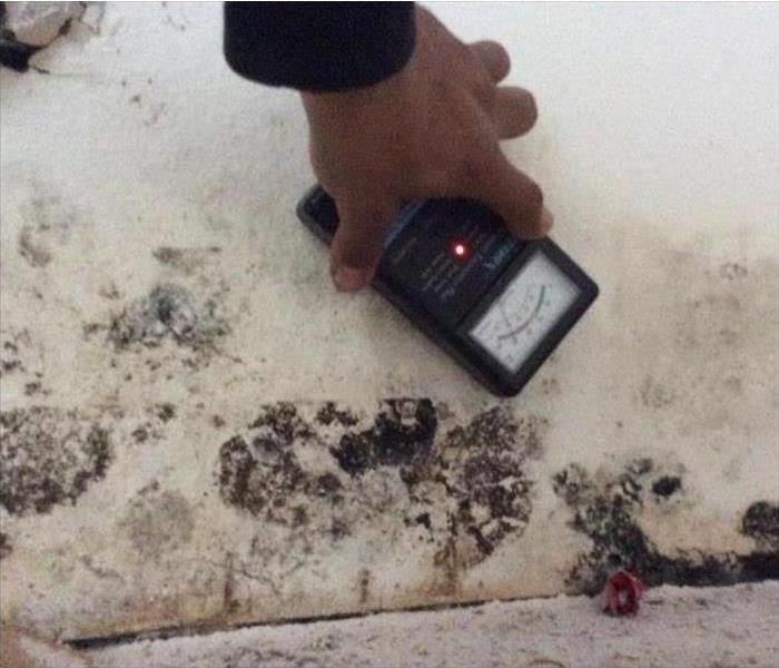 Hand holding moisture meter against wall with black mold.